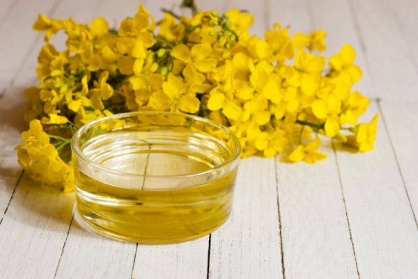 rapeseed oil